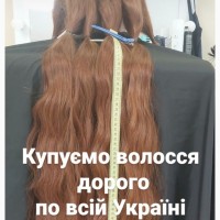У нас самые высокие цены на волосы в Кривом Роге до 125000 грн.Стрижка в Подарок