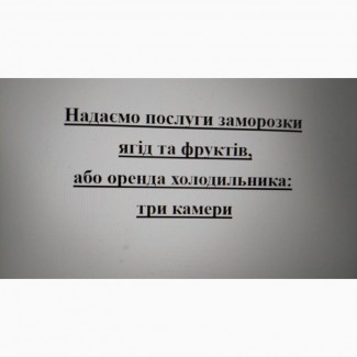 Надаємо послуги заморозки ягід та фруктів, або оренда холодильника