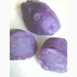 Фиолетовая картошка, Purple majesty