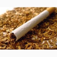 Табак в нарезке лапша разные сорта-низька цина